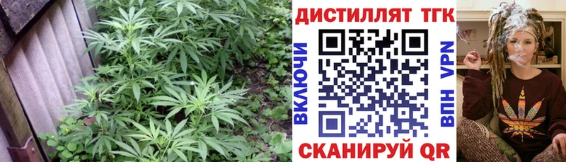 kraken ссылки  купить закладку  Елабуга  ТГК вейп 