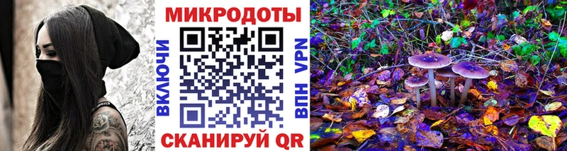 наркошоп  Елабуга  блэк спрут как войти  Псилоцибиновые грибы прущие грибы 